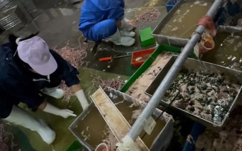 李主任 是誰(shuí) 李主任 還是 利主任 ,該有個(gè)答案